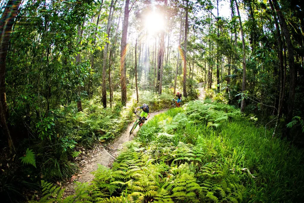 2020 SC NoosaTrailNetwork Adventure @getlostmagazine
